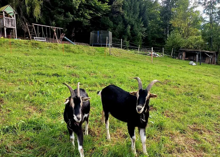 Schiedbichl Hochkalter * Berchtesgaden