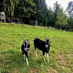 Schiedbichl Hochkalter * Berchtesgaden