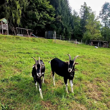 Schiedbichl Hochkalter * Berchtesgaden
